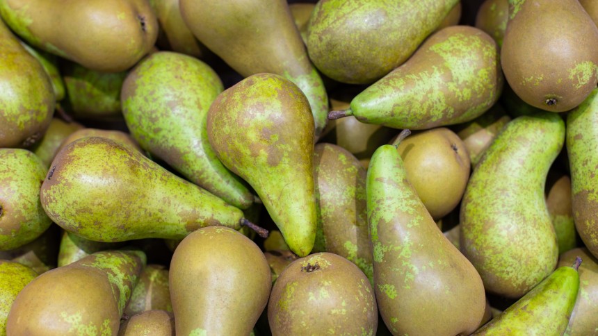 pera conferencia xq el nombre.jpeg